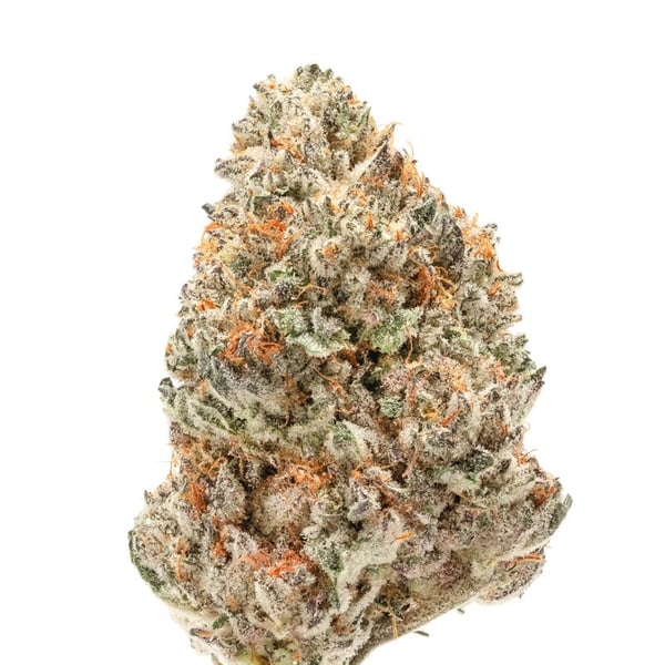 Double XL Watermelon Weddingcake Auto