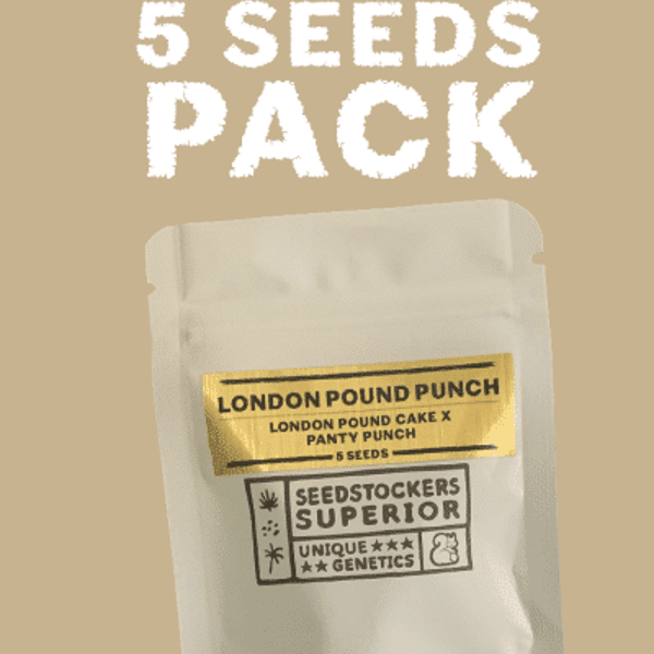 London Pound Punch