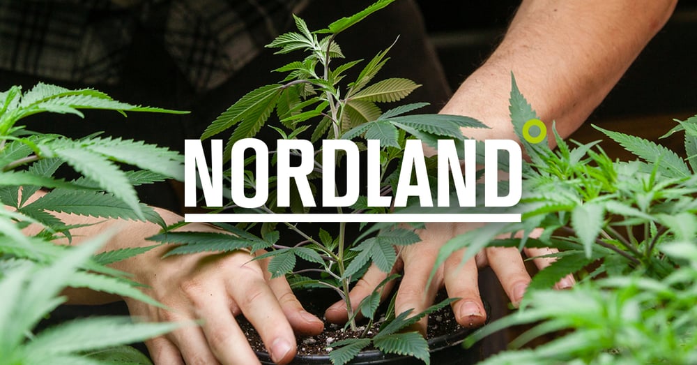 Nordland Seeds ApS logo