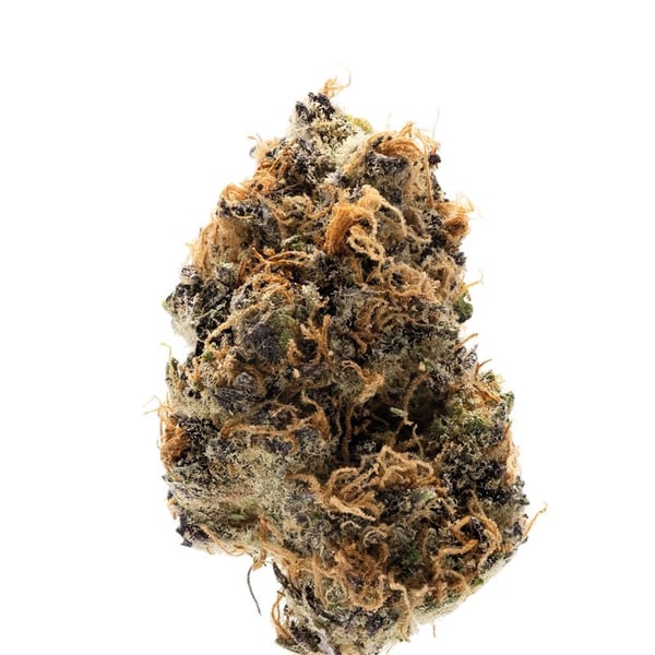Watermelon Punch Growers Choice skunkfrø