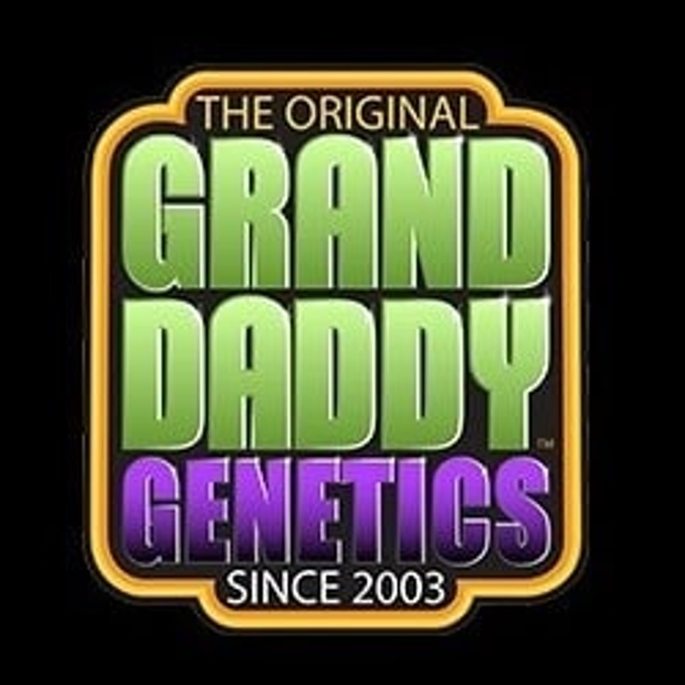 Grand Daddy Purp cannabis seed bank logo