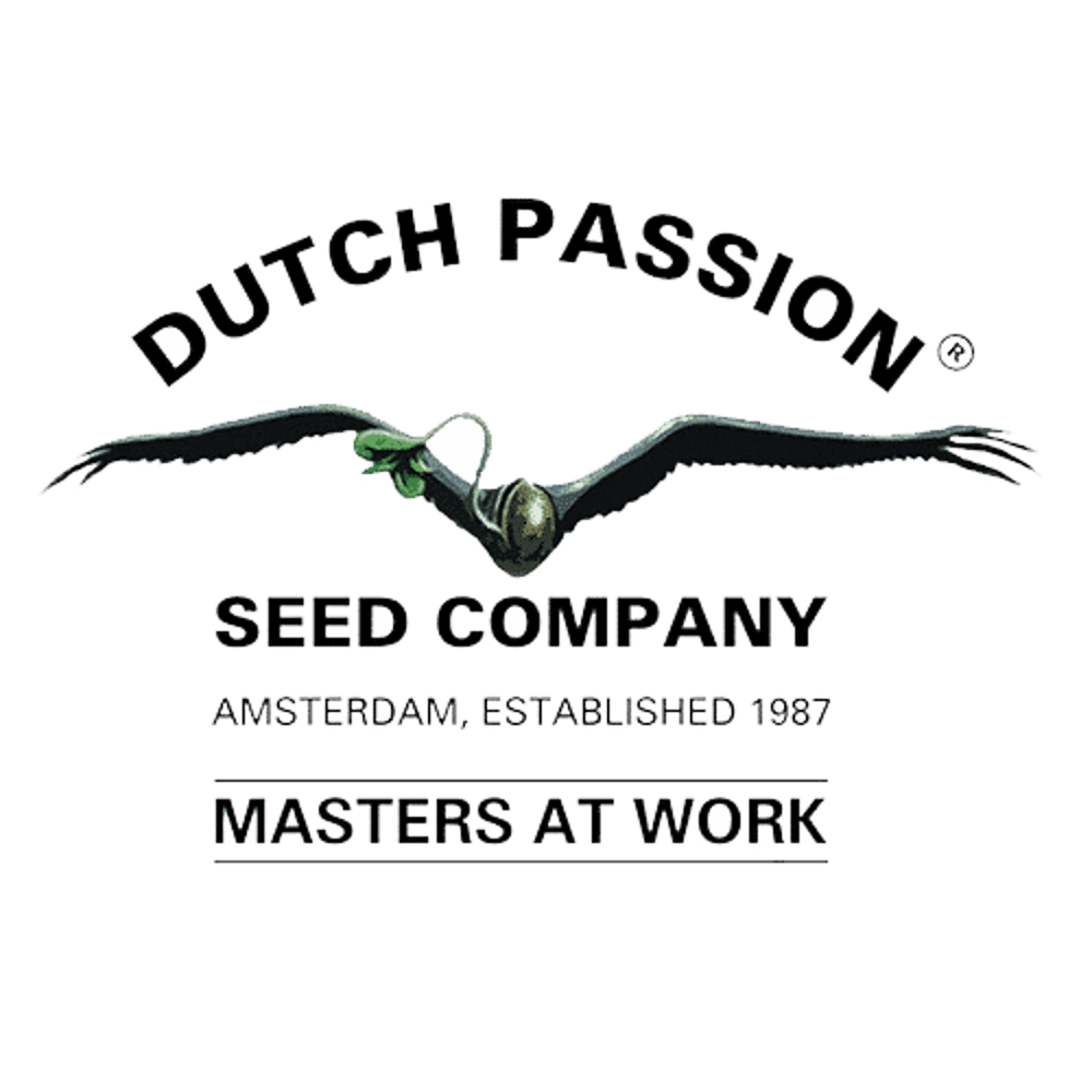 Dutch Passion logo cannabisfrøbank