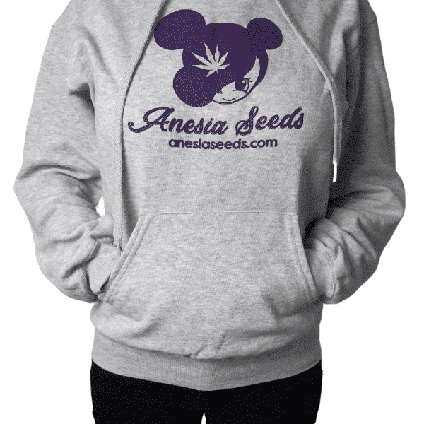 Anesia Hættetrøje (Hoodie)
