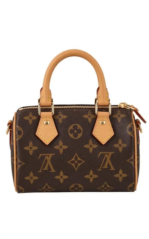 LV Nano Speedy handbag