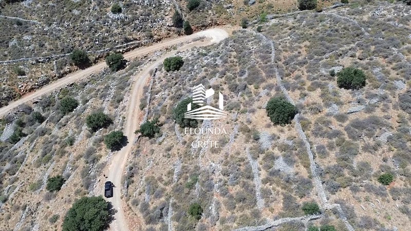 Pano Pines,Agios Nikolaos