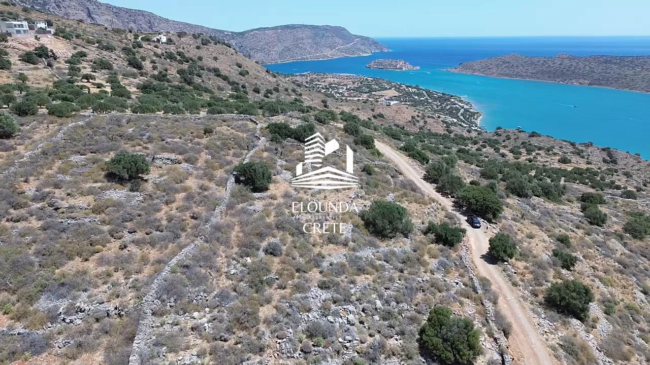 Pano Pines,Agios Nikolaos