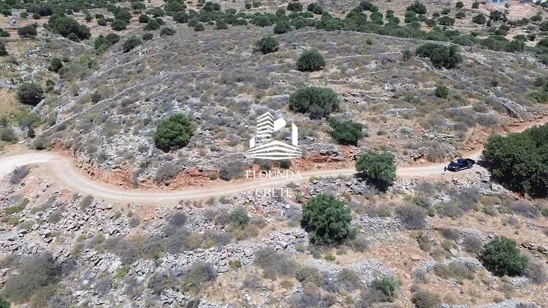 Pano Pines,Agios Nikolaos