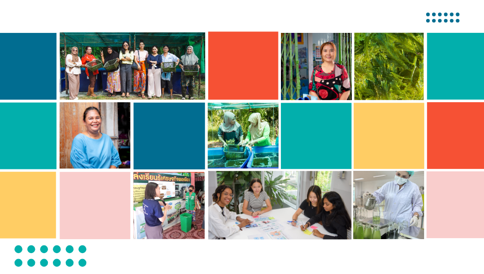 Cover image for blog titled "Yunus Thailand 2024 Annual Report"