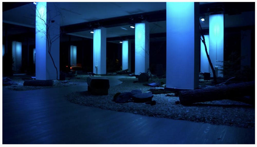 Sam Nester’s Arcadia for Colby College is a site-specific, immersive sound and light installation