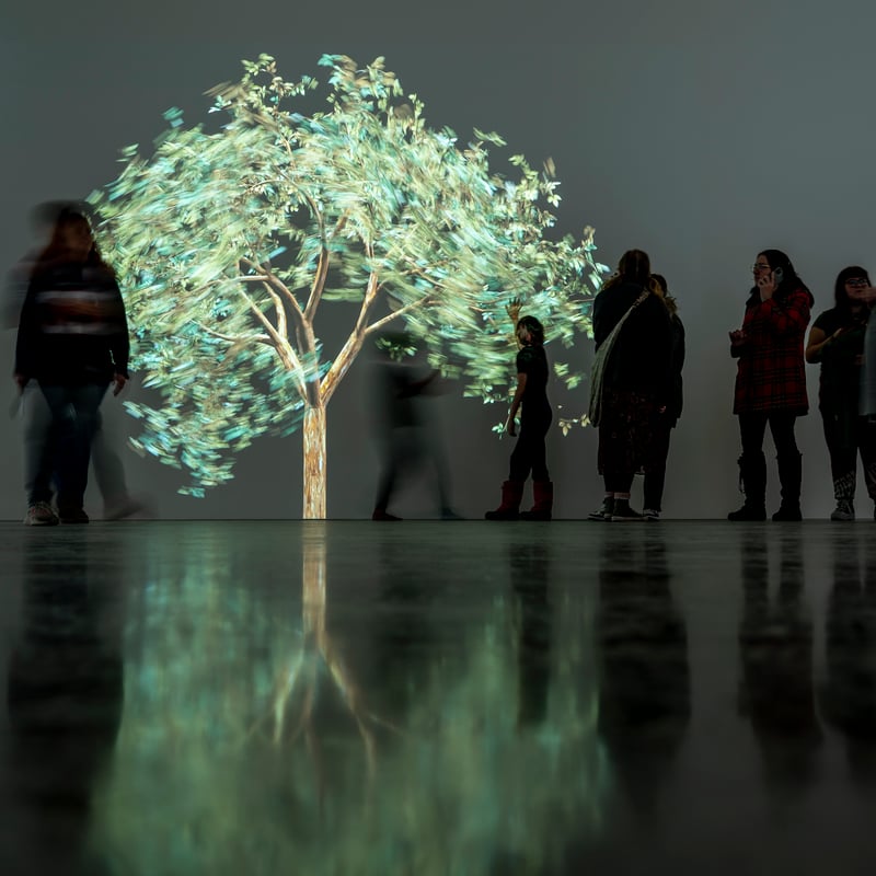 people in front of projection exhibition