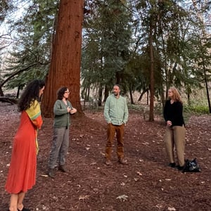 People in front of tree