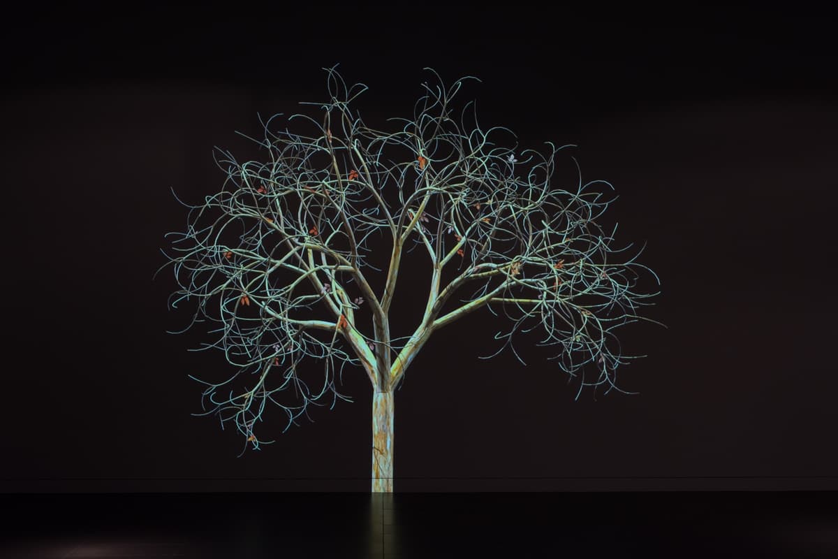 Projected digital animation of a tree with bare branches and glowing outlines against a dark background