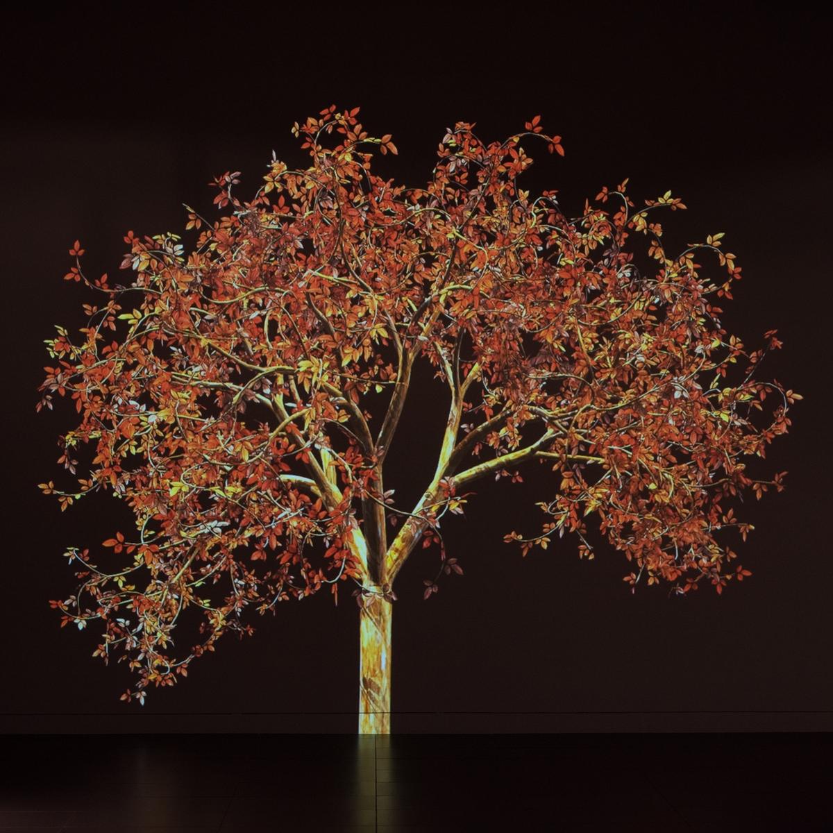 Digital animation of a tree with orange and red autumn leaves glowing against a dark background
