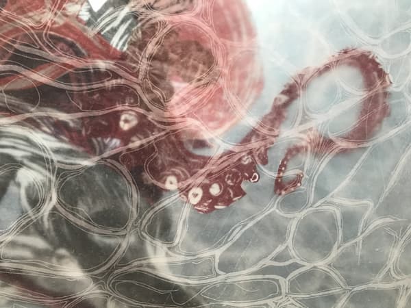 The tentacle of an octopus depicted behind a collection of sheer circular shapes.