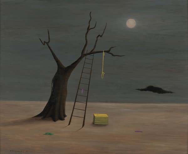 A barren tree with a ladder leaning against it, under a cloudy night sky with a faint moon.