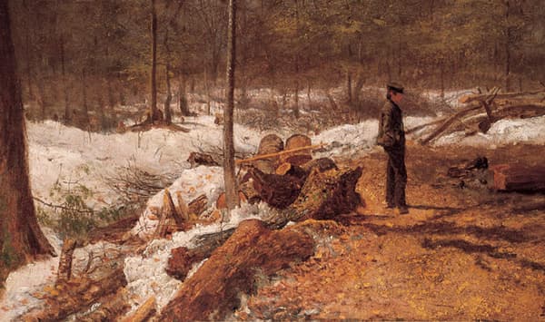 A painting by Eastman Johnson titled Boy in the Maine Woods, c 1868.