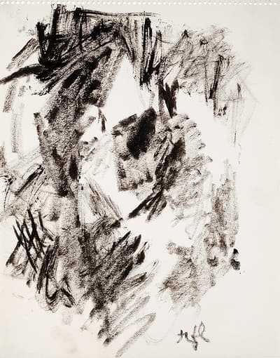 Abstract charcoal drawing with bold, sweeping strokes.