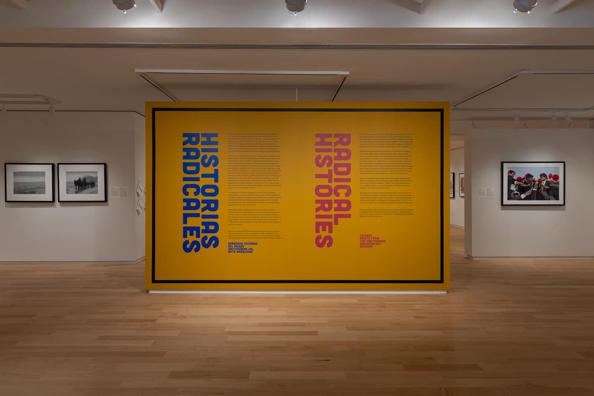 Installation photograph of the title wall of Radical Histories.