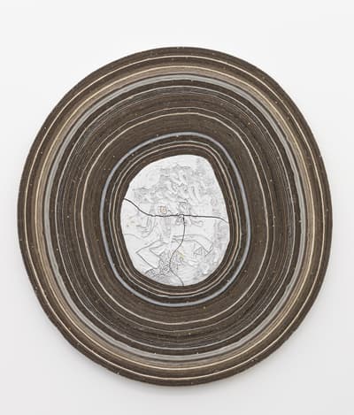 Multimedia piece resembling a cross section of a tree.