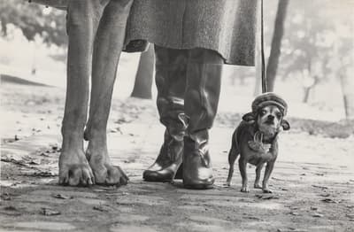 Large dog paws, person in boots, small dog wearing a knit hat and scarf on a cobblestone path.