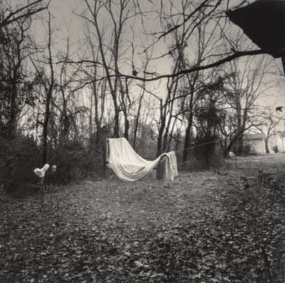 Black and white photo of a fabric draped on a metal frame between leafless trees with a house in the background.
