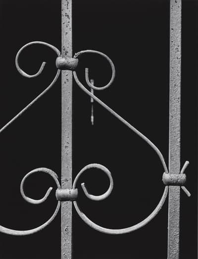 Close-up of a wrought iron gate with decorative spirals against a dark background.
