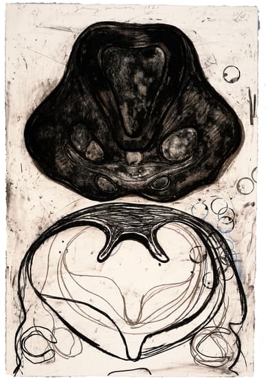 A black and white lithograph by Terry Winters titled Section, 1991.