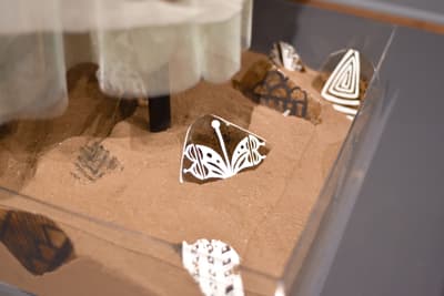 Geometric fragments with patterns in sand within a transparent enclosure.