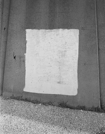 Untitled (from Long Island Pastoral: Part 3), 2023.
