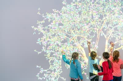 Group of four children interacting with a projection of a fruit tree.