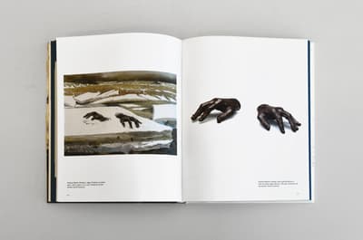Open book showing a painting of hands in snow on the left and bronze hand sculptures on the right.