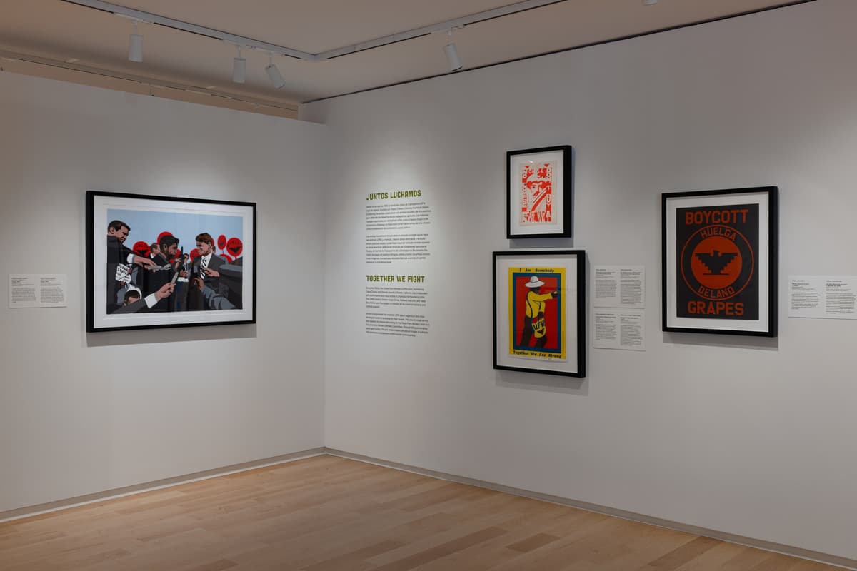 Gallery wall featuring graphic prints and a digital-style illustration, with wall text titled “Juntos Luchamos / Together We Fight”