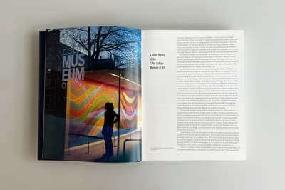 Interior spread of a book. On the right hand page there is text. On the left hand side there is a photograph, taken behind a glass wall, of a women looking at at large wall painting.