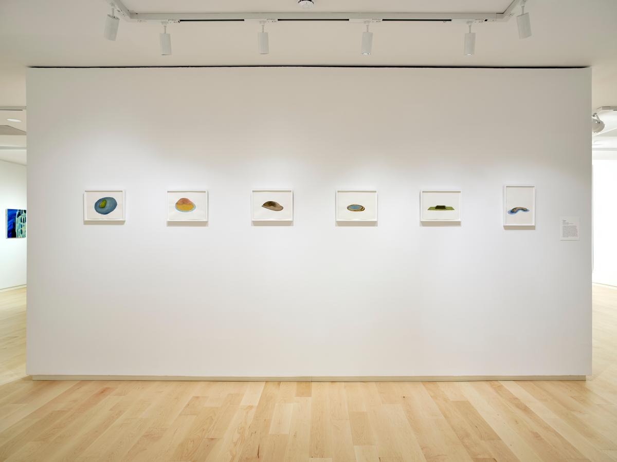 Six framed watercolor studies of rocks displayed in a horizontal row on a white wall.