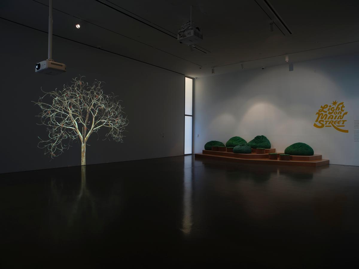 Projection of a bare tree on dark wall beside green sculptures that resemble hedges on a tiered platform.