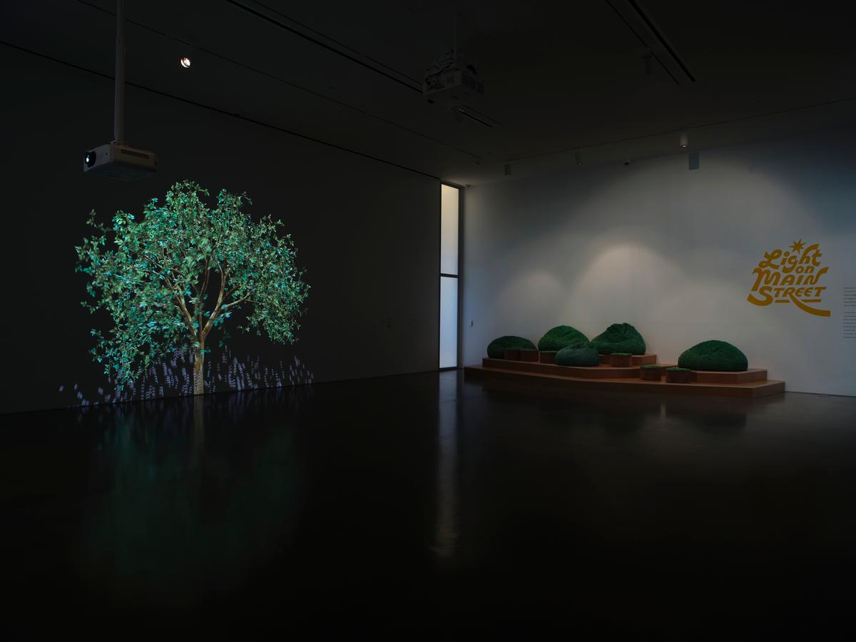 Projection of a leafy tree on dark wall beside green sculptures that resemble hedges on a tiered platform.
