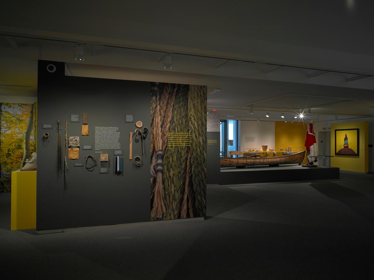 Tools and woven materials displayed on a dark gray gallery wall with forest mural, birchbark canoe in the background