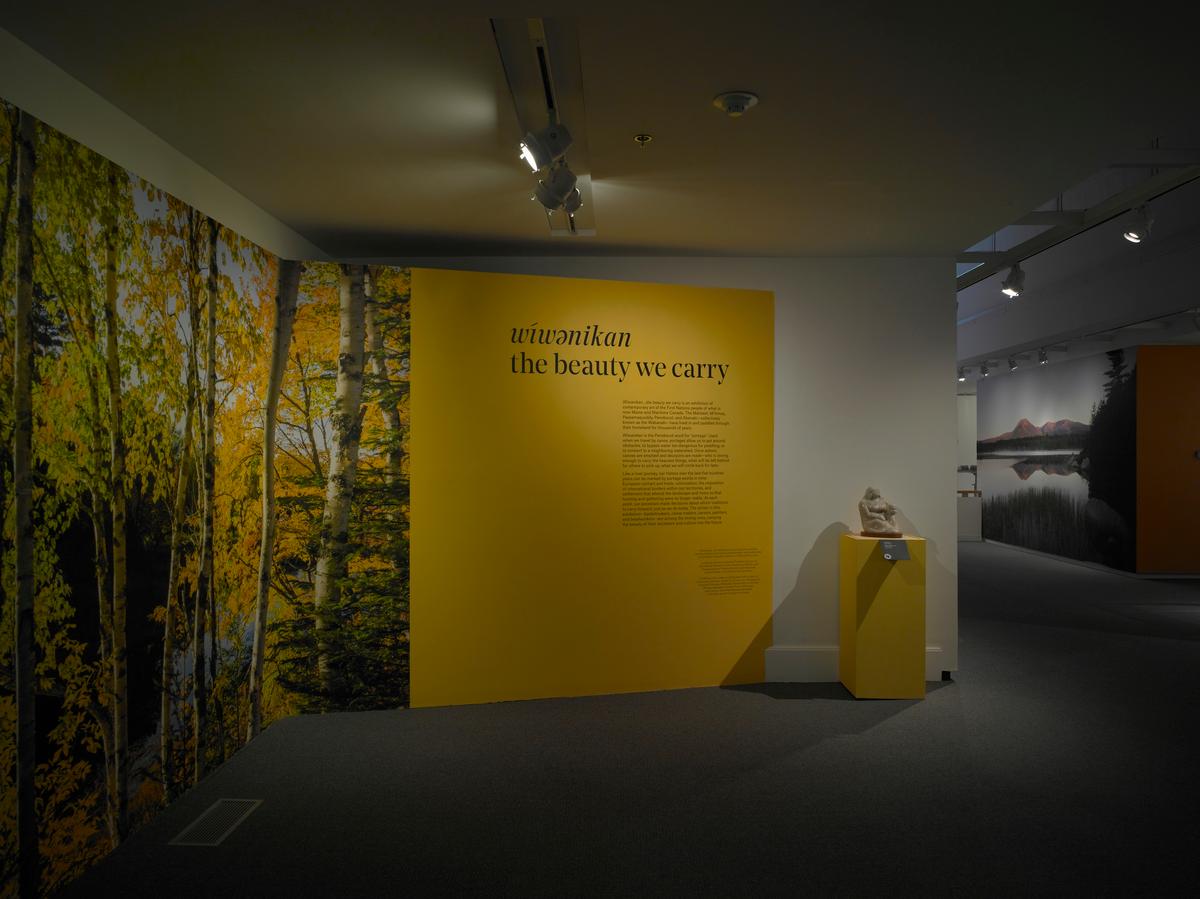 Introductory gallery wall with text on a yellow panel beside a forest mural and sculpture on pedestal