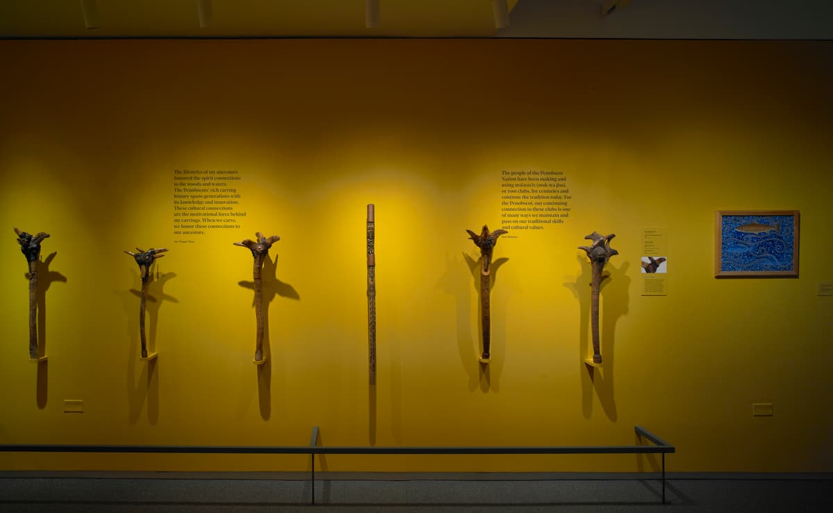 Carved wooden paddles with animal motifs mounted on a yellow gallery wall with interpretive text and framed art