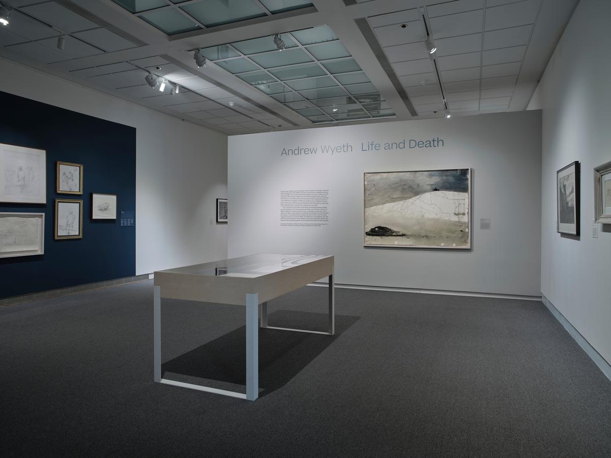 Wide shot of exhibition gallery with framed drawings on white and navy walls and a central vitrine.