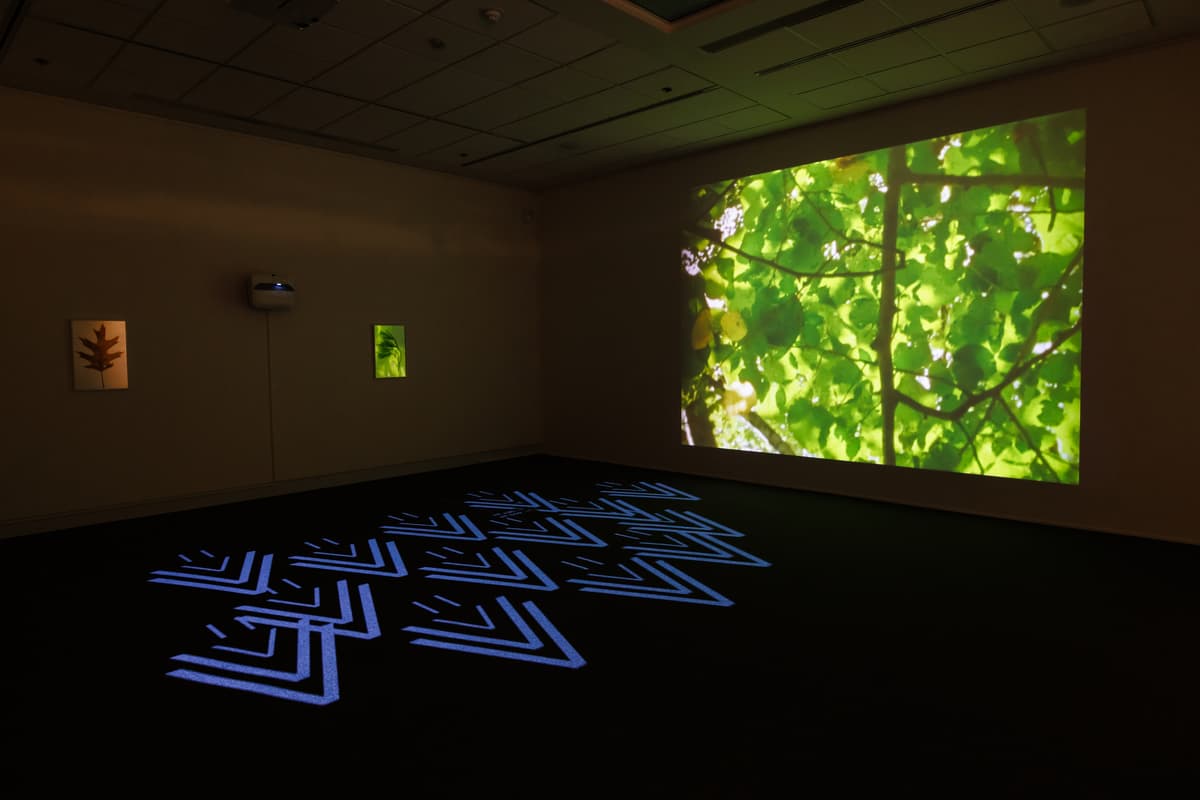 Large projection of leafy green foliage on the wall with geometric patterns on the floor; two small framed and illuminated botanical prints hang on the adjacent wall.