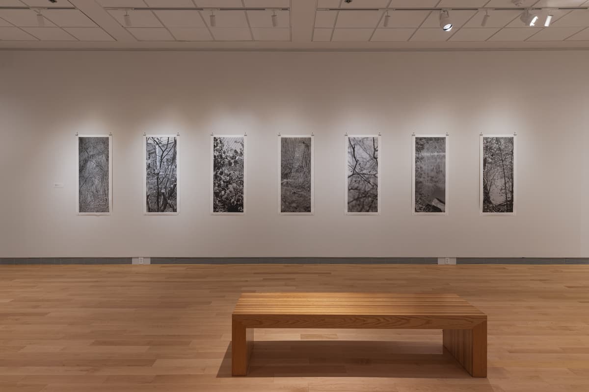 Installation view of the "2025 Faculty Biennial," showing a horizontal row of seven vertical, black-and-white photographic prints, all depicting close-ups of bare tree branches and foliage. A light wood bench sits in the middle of the gallery space.