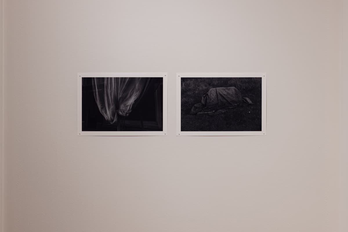 Installation view of two small, horizontal, black-and-white photographs hung side-by-side. The left image shows sheer, hanging fabric or netting, and the right image shows an object or figure completely draped and covered on the ground.