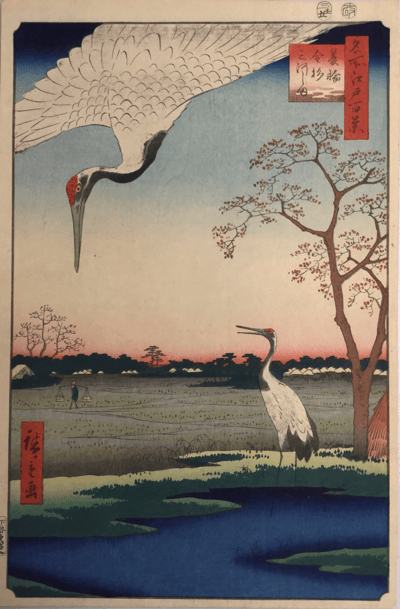 A Japanese woodblock print (Ukiyo-e) depicts two Red-crowned Cranes in a serene, natural setting. One large crane dominates the upper left, shown in a steep dive with wings spread and its head lowered. Its white body and black neck contrast with its bright red crown. The second crane stands on the ground in the lower right, looking up with its neck extended.