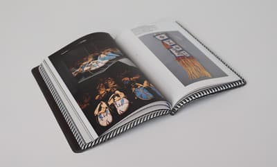 Image of open Painted publication.