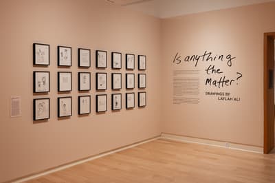 A grid of framed, black and white drawings installed in a three by seven column on a gallery wall. On the adjacent wall, lettering in a hand written style reads "Is anything the matter?" with subtitled "Drawings by Laylah Ali" and paragraphs of typed descriptive text.
