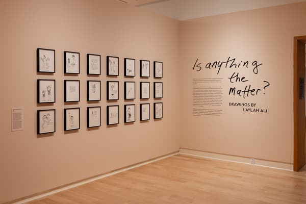A grid of framed, black and white drawings installed in a three by seven column on a gallery wall. On the adjacent wall, lettering in a hand written style reads "Is anything the matter?" with subtitled "Drawings by Laylah Ali" and paragraphs of typed descriptive text.