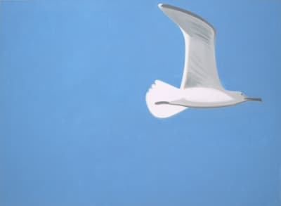 A graphic painting featuring a single seagull soaring on the right side of the composition. The bird is rendered in shades of white and soft grey with a dark beak. The majority of the canvas is a flat, uniform expanse of bright blue.