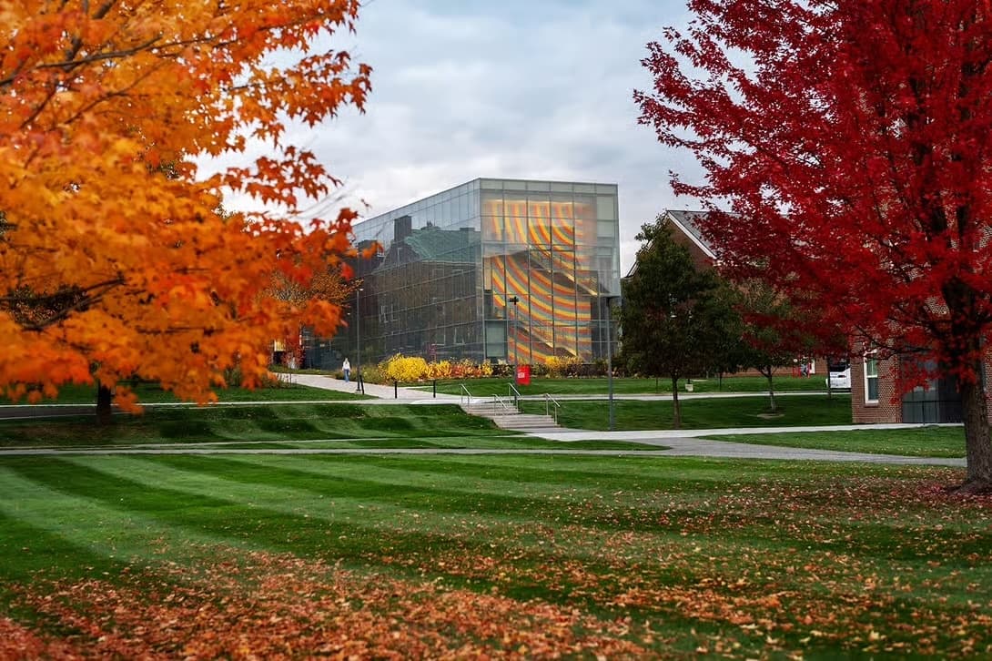An eye-level outdoor photograph captures a university campus in the peak of autumn. In the foreground, a manicured green lawn with mowed stripes is scattered with fallen orange leaves. A vibrant orange maple tree frames the left side of the shot, while a deep red maple stands on the right. In the center background, a modern rectangular building with a glass facade reflects the surrounding brick architecture. Inside the glass building, a large, multi-story wall mural featuring bold, wavy stripes of yellow, orange, and blue is visible. A concrete walkway with a small set of stairs leads toward the building under a soft, overcast sky.