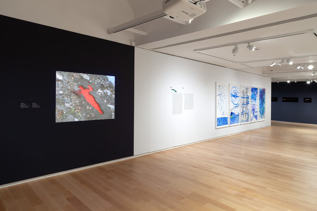 In a gallery space with light wood floors, a projector video display on a dark wall shows a silhouette outline carved in earth filled with bright red liquid. Adjacent white walls feature text panels and a row of framed blue abstract artworks extending down the corridor.